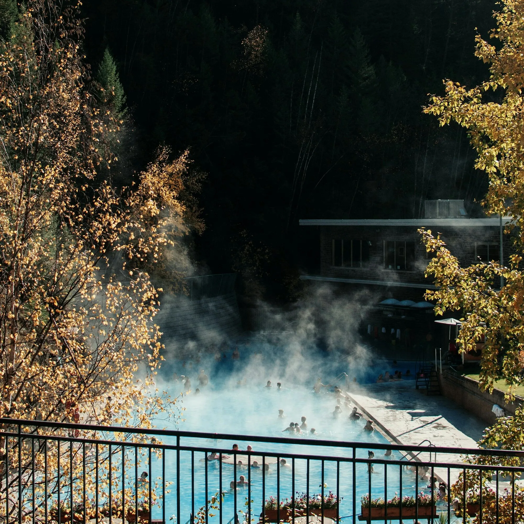 Steam rising off the hot pools at Radium Hot Springs, British Columbia, below a dark forested hillside, with autumn leaves in the foreground.