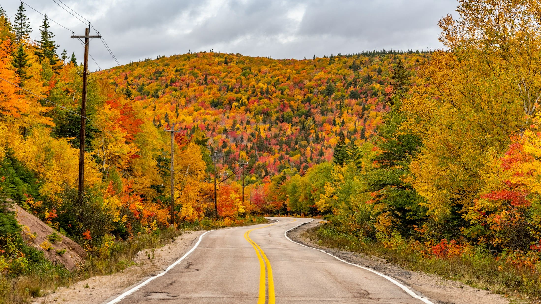 A highway winding through hills ablaze with autumn colour in Nova Scotia.