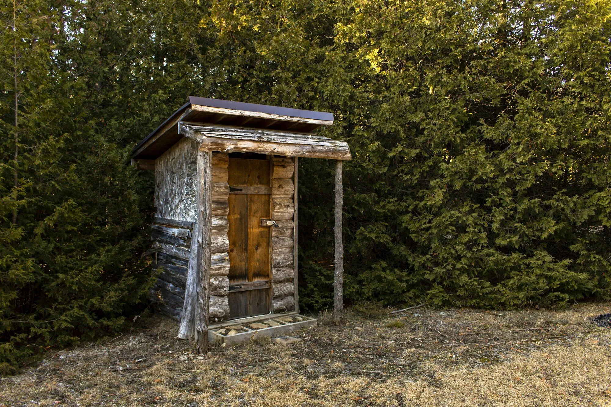 A weathered log outhouse with a plank door, against a wall of evergreens, in Merrickville, Ontario.